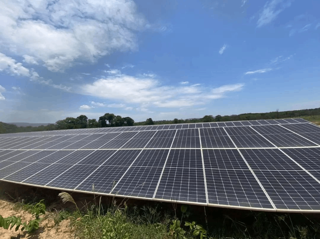 Concurso mundial de recopilación de casos de Osda Solar (estación de Brasil)